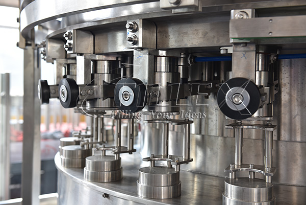 How to Start a Beer Can Filling Business