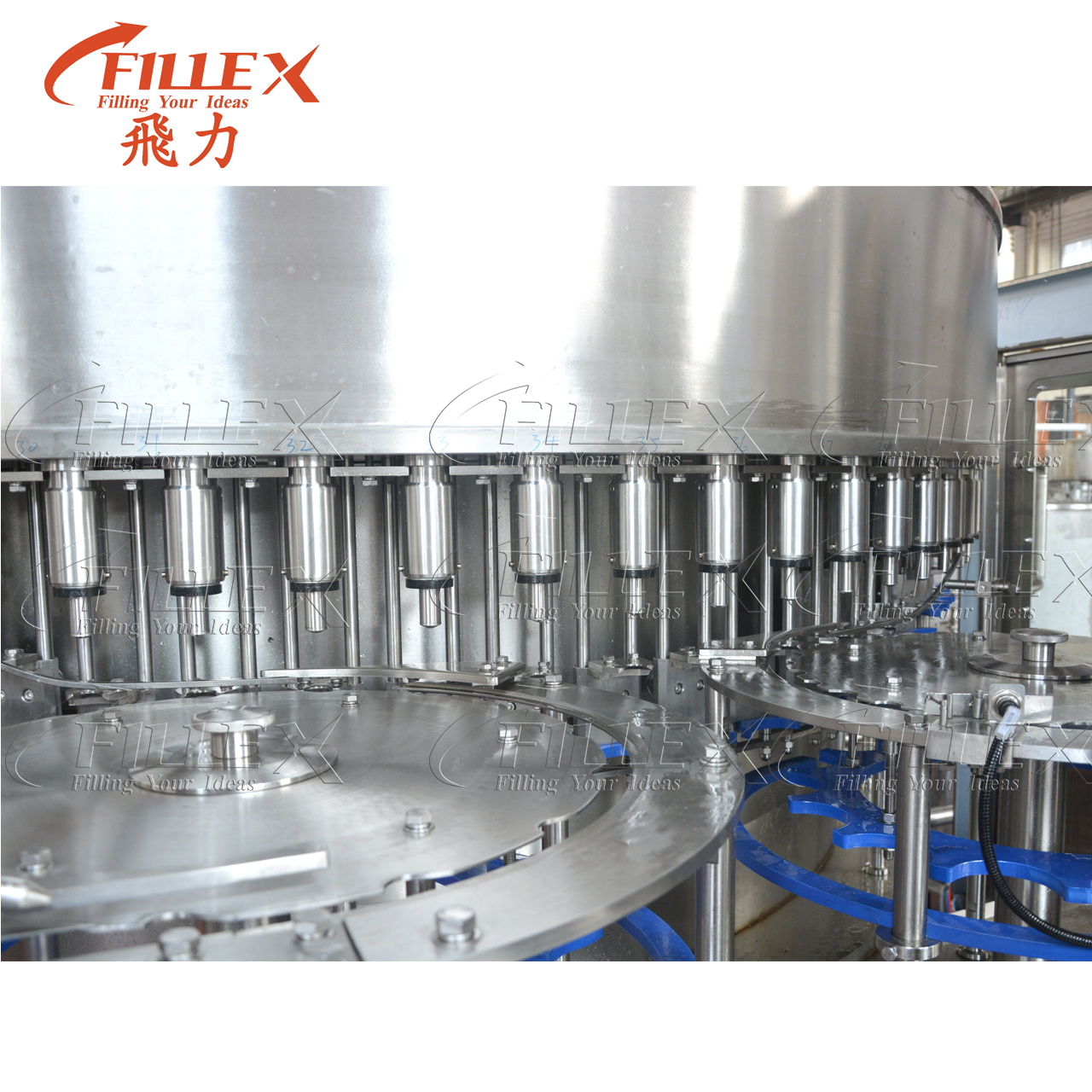 Oil & Viscous Fluid Filling Machine (Piston Filling)